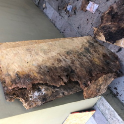 Placa OSB comprometida devida a falta de conhecimento na instalação